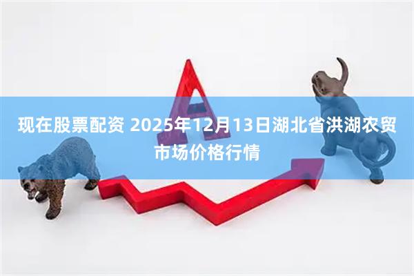 现在股票配资 2025年12月13日湖北省洪湖农贸市场价格行情