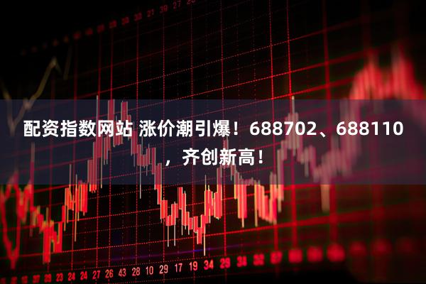 配资指数网站 涨价潮引爆！688702、688110，齐创新高！