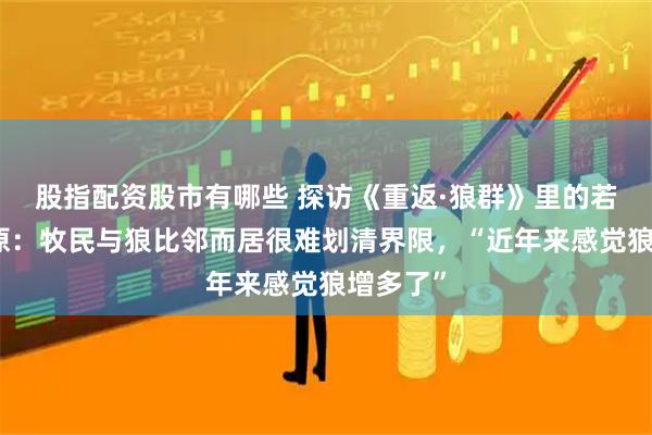 股指配资股市有哪些 探访《重返·狼群》里的若尔盖草原:牧民与狼比邻而居很难划清界限,“近年来感觉狼增多了”