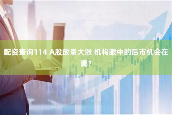 配资查询114 A股放量大涨 机构眼中的后市机会在哪？